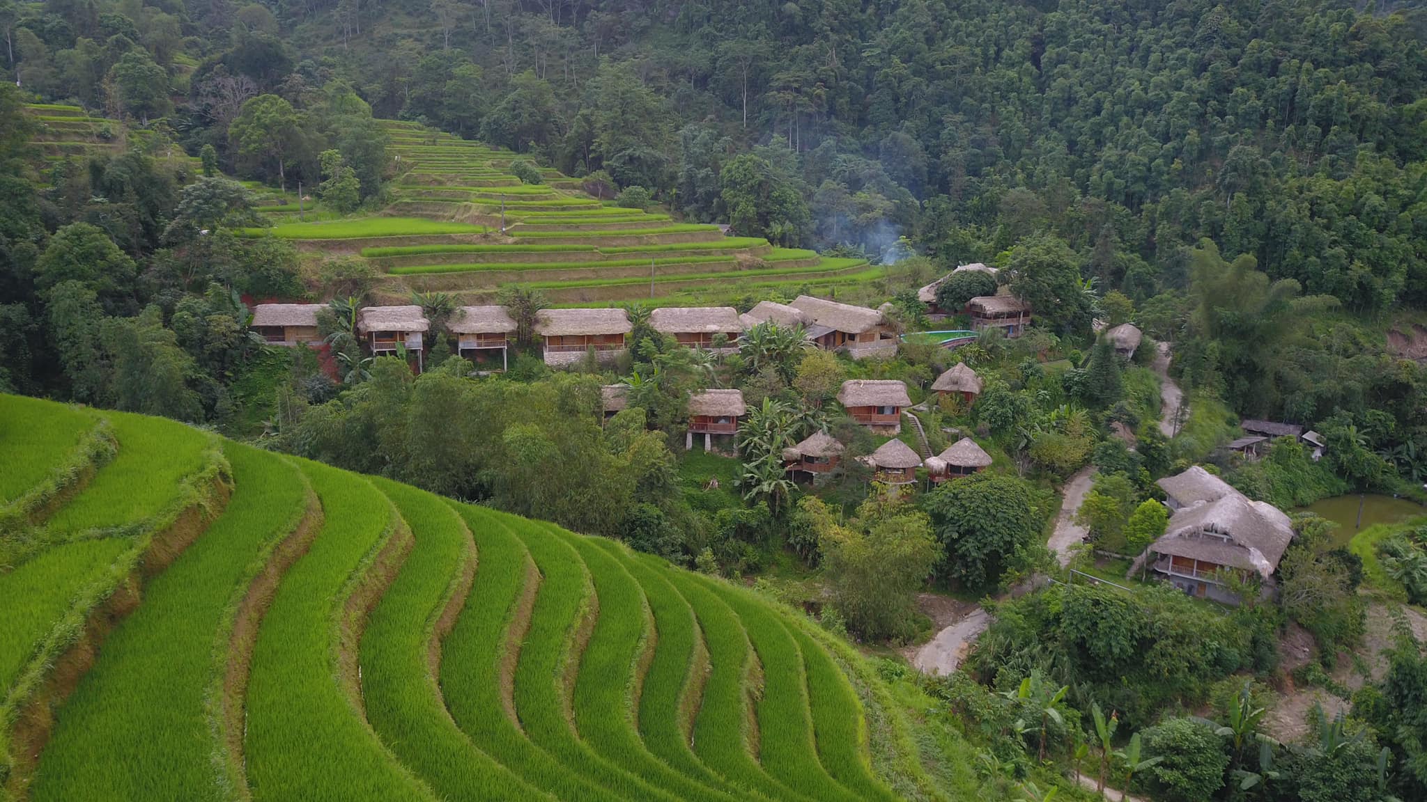 hoàng su phì hà giang