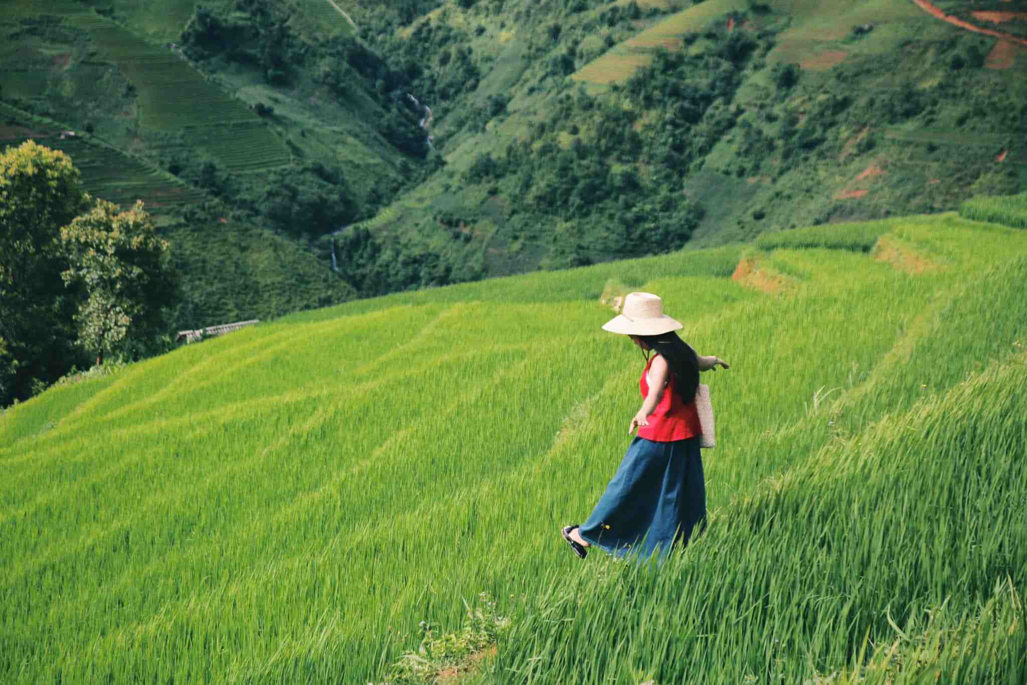 Ruộng bậc thang Tà Xùa