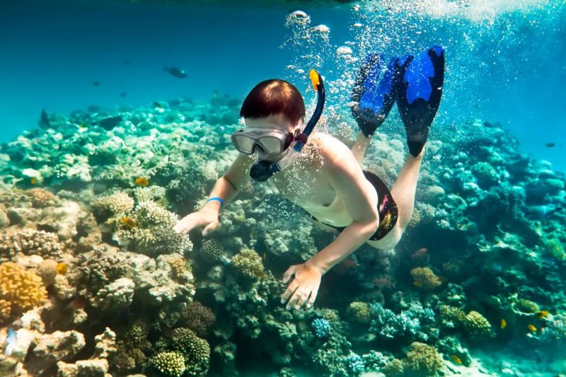 Cát Bà – Vịnh Lan Hạ, bơi, kayaking, snorkeling, đạp xe (2N1Đ)