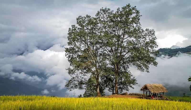 Du lịch Sapa – Y Tý (2N1Đ)