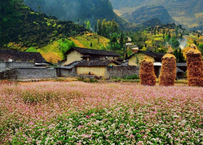 Hà Giang – Nơi đá nở hoa (3N2Đ)