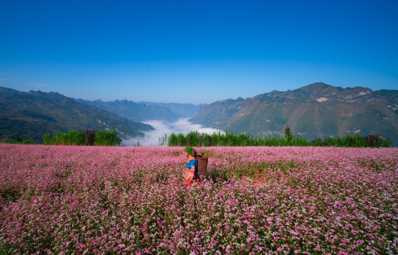 Hà Giang – Nơi đá nở hoa (3N2Đ)