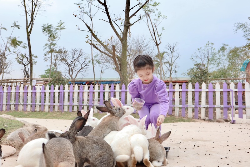 hoc-sinh-kham-pha-khu-trai-nghiem-quang-ninh-gate-1-ngay