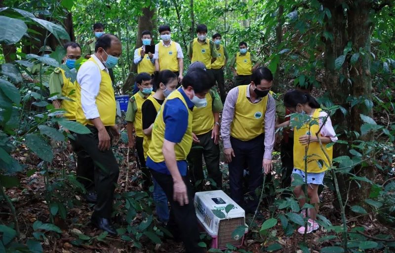 Học sinh – Trekking vườn Quốc Gia Cúc Phương (1 ngày)