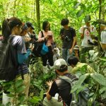 Học sinh – Trekking vườn Quốc Gia Cúc Phương (1 ngày)