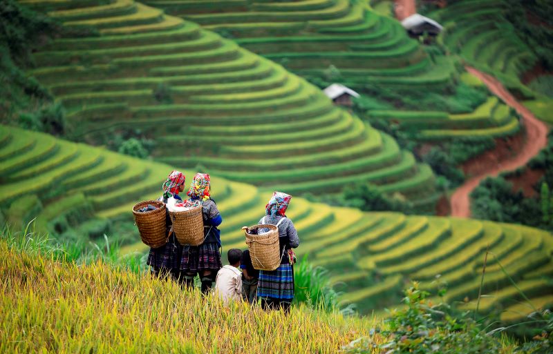 Tour Mộc Châu – Tà Xùa 3 ngày 2 đêm trọn gói mùa săn mây