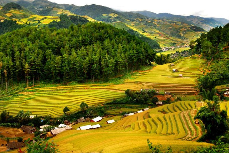 Săn mây Pà Cò - Khám phá Mai Châu, Mộc Châu (3N2Đ)