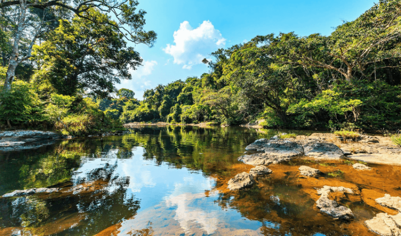 trekking-chinh-phuc-thac-k50-hang-en-kbt-kon-chu-rang-2-ngay-2-dem