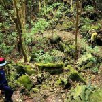 Trekking Cát Bà (1 ngày)