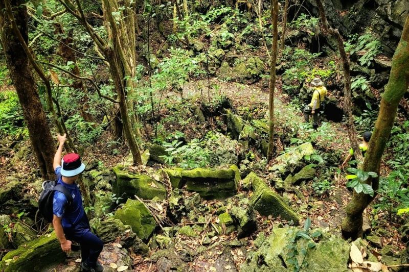 Trekking Cát Bà (1 ngày)