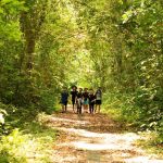 Trekking Cát Bà (1 ngày)