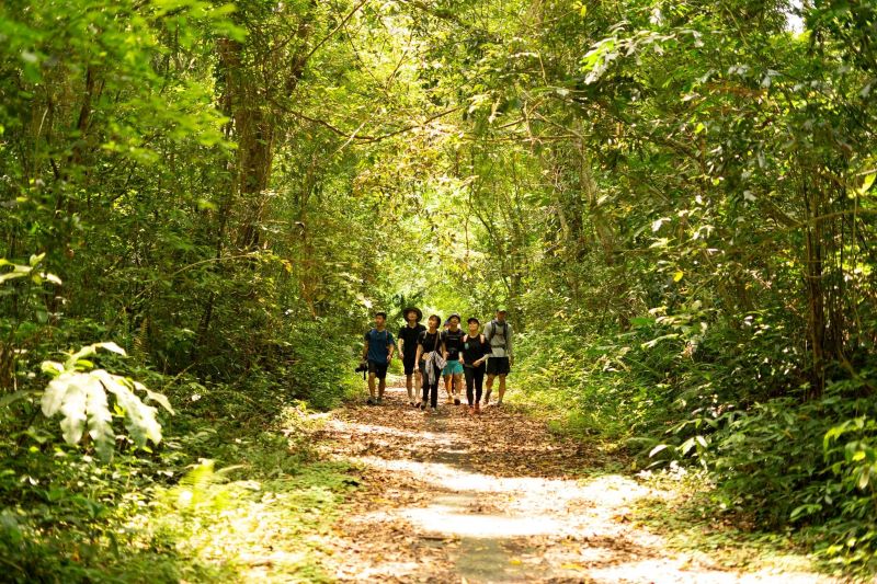 Trekking Cát Bà (1 ngày)