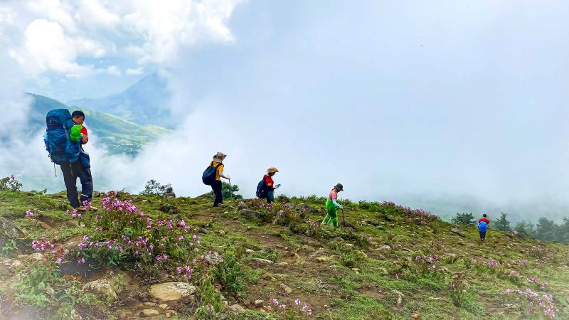 Trekking – Chinh phục Nhìu Cồ San – 2965m (2N1Đ)