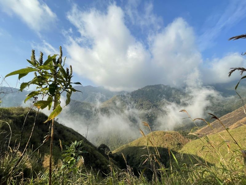 Trekking – Chinh phục Pu Si Lung (3N2Đ)