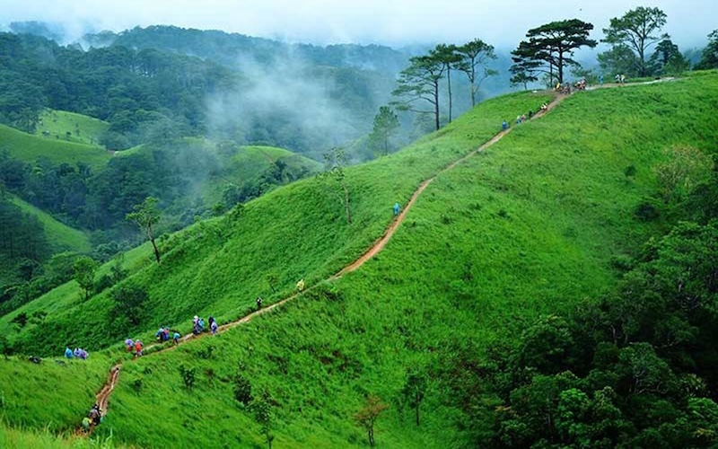 Trekking – Chinh phục Tà Năng Phan Dũng – Bidoup Núi Bà (4N4Đ)