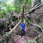 trekking-kayak-biking-kham-pha-dao-cat-ba-vinh-lan-ha-3-ngay-2-dem