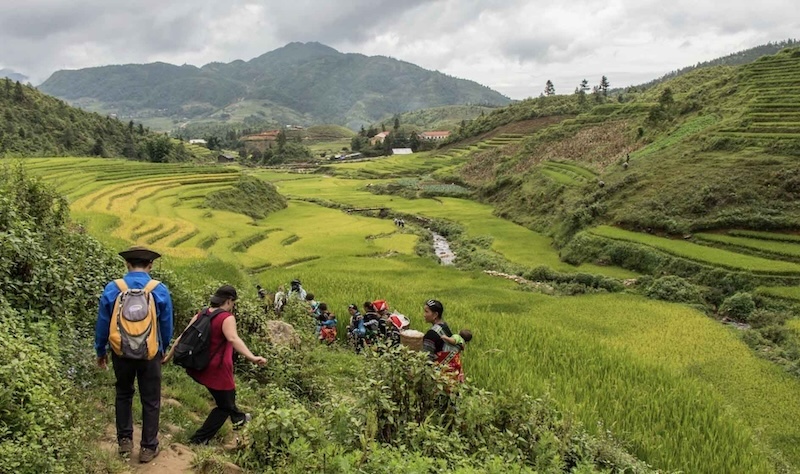 Trekking Sapa (1 ngày)