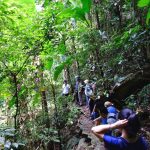 Trekking – Teambuilding núi Ba Vì (2N1Đ)