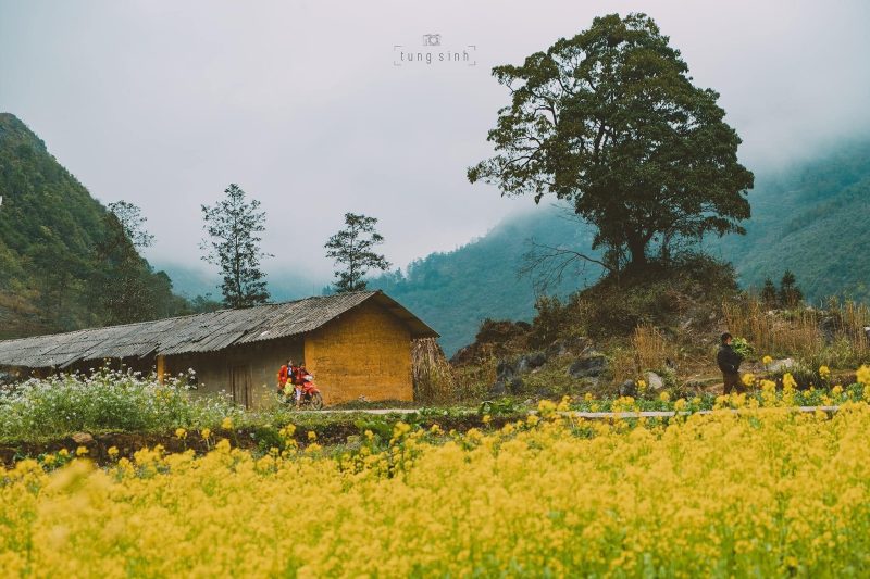 hà giang