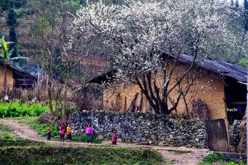 hà giang