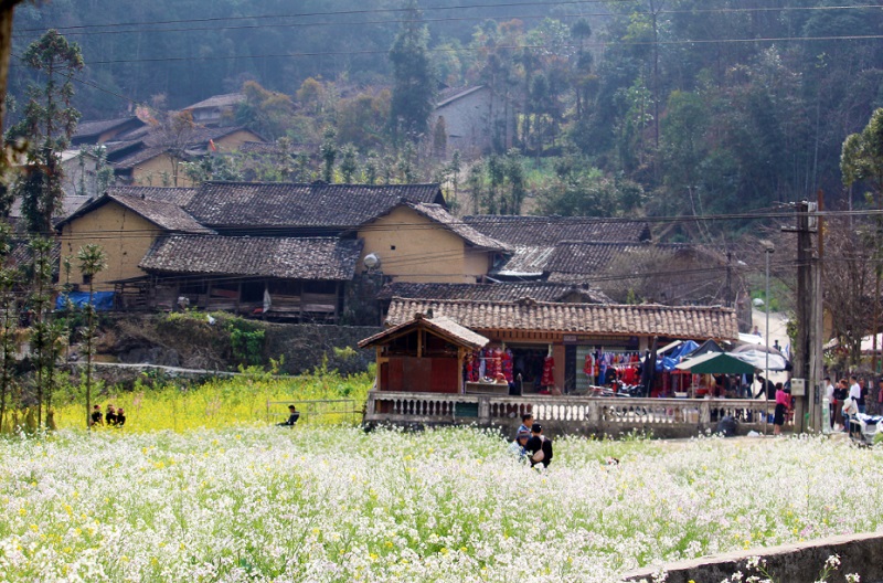 Tour Hà Giang 2 ngày 1 đêm – Trọn gói, giá rẻ, khuyến mại khủng