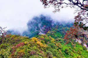 tả liên sơn