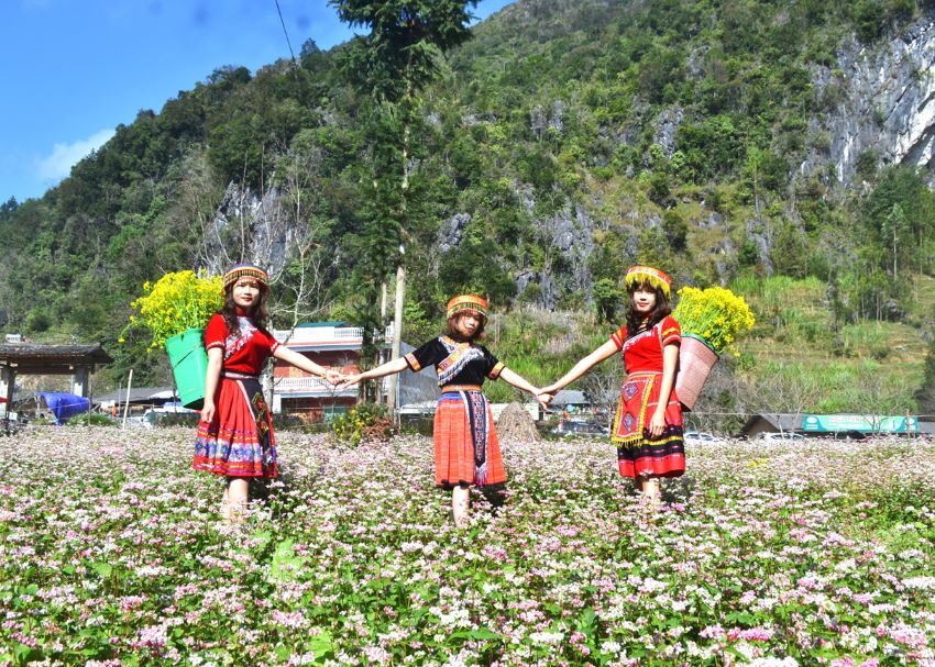 Tour Hà Giang – Mùa hoa tam giác mạch 3 ngày 2 đêm trọn gói từ A – Z