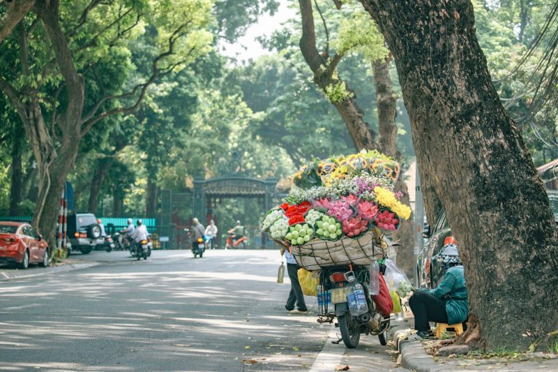 tour ha noi