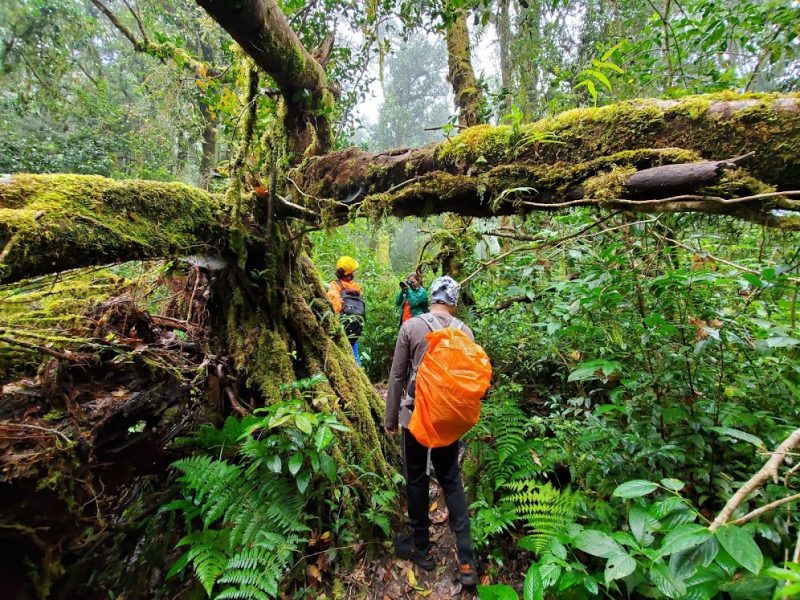 tour trekking bidoup