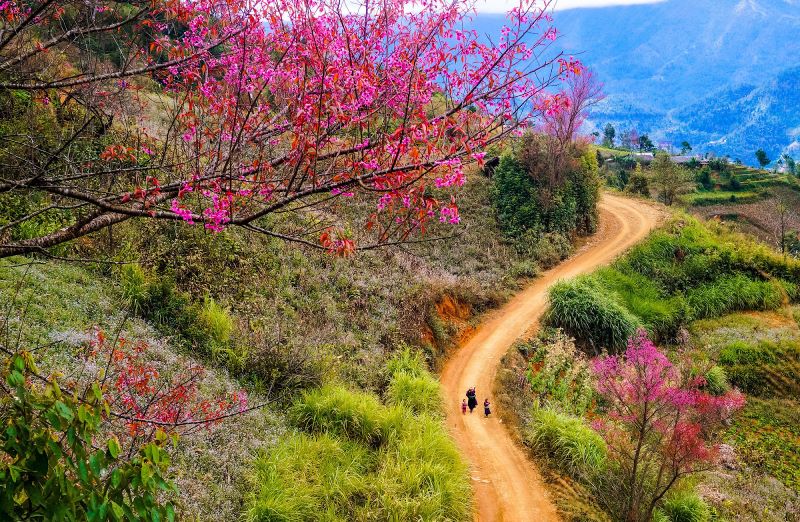 tour-trekking-mien-bac-1