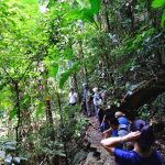 trekking-ba-vi-xuyen-rung-1-ngay-1