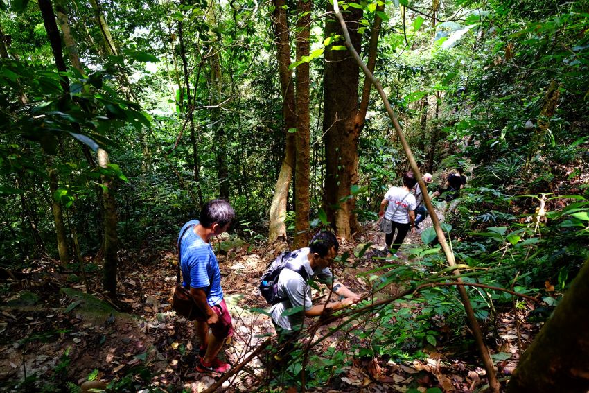 Trekking Ba Vì xuyên rừng 1 ngày