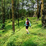 trekking hàm lợn