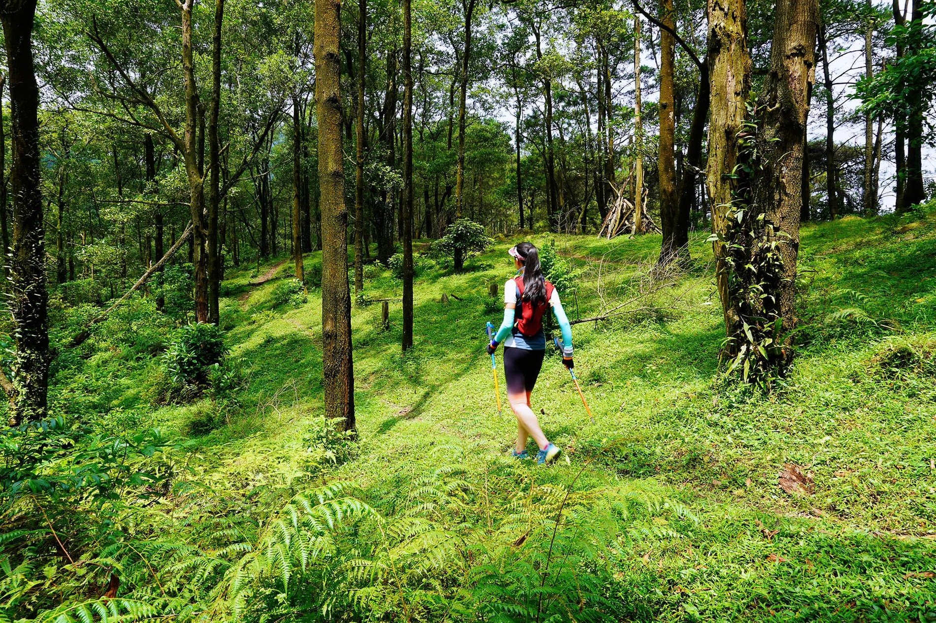 trekking hàm lợn