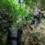 trekking hàm lợn