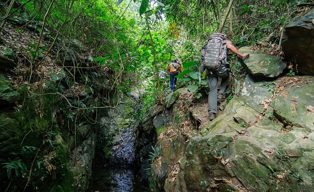 trekking hàm lợn