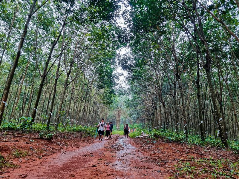 trekking madagui