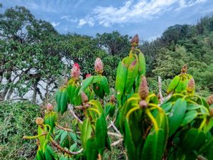 trekking-tam-chi-son-2