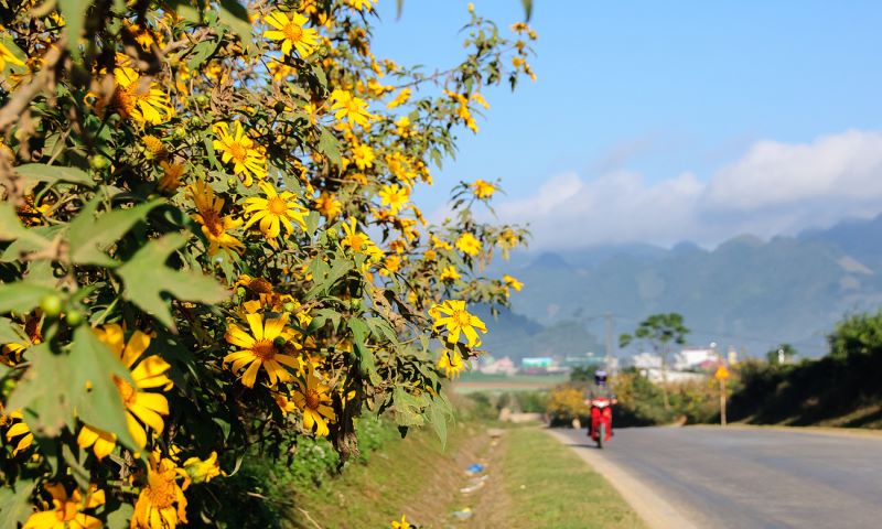 trekking-tam-dao-1-ngay-4