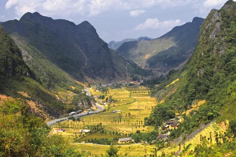 hoa dã quỳ hà giang