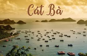 Tour cắm trại đảo Cát Bà 2 ngày 1 đêm của Meditours bạn đã đi chưa?