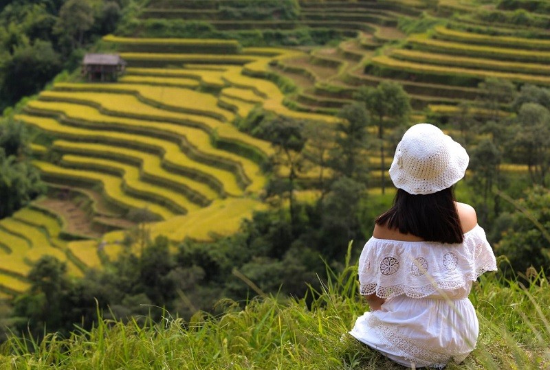 Tour du lịch Sapa 4 ngày 3 đêm: Chuyến đi không thể bỏ lỡ