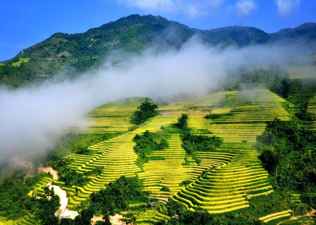 Tour Sapa 2 ngày 2 đêm – Đắm chìm trong vẻ đẹp thiên nhiên