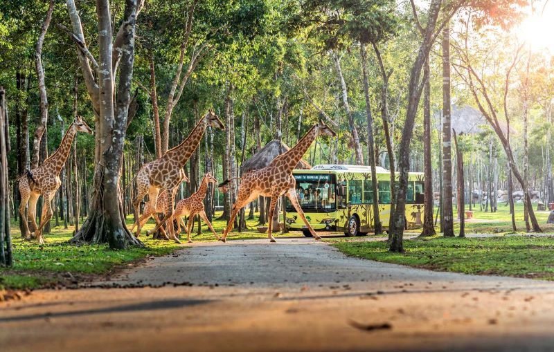 vinpearl-safari-phu-quoc-3