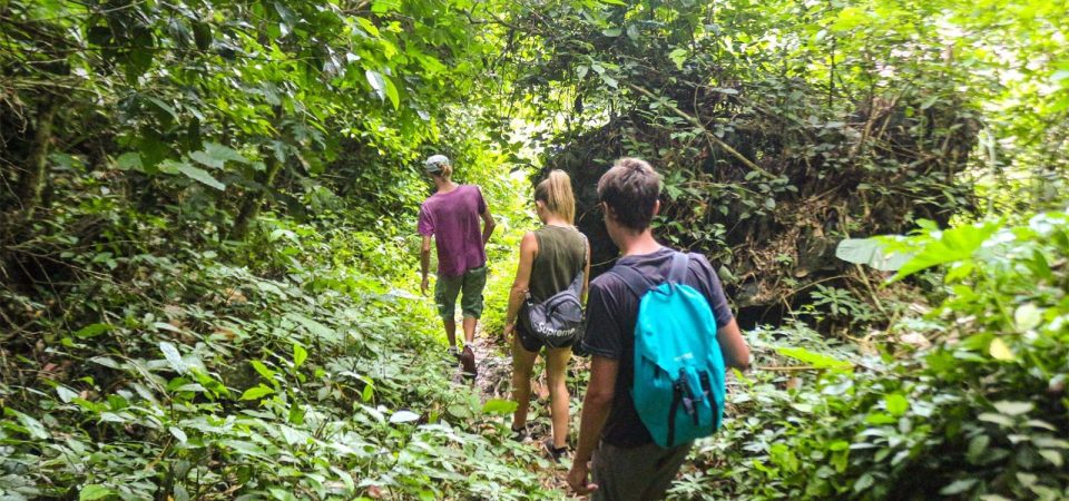 Trekking cát bà đi xuyên qua rừng