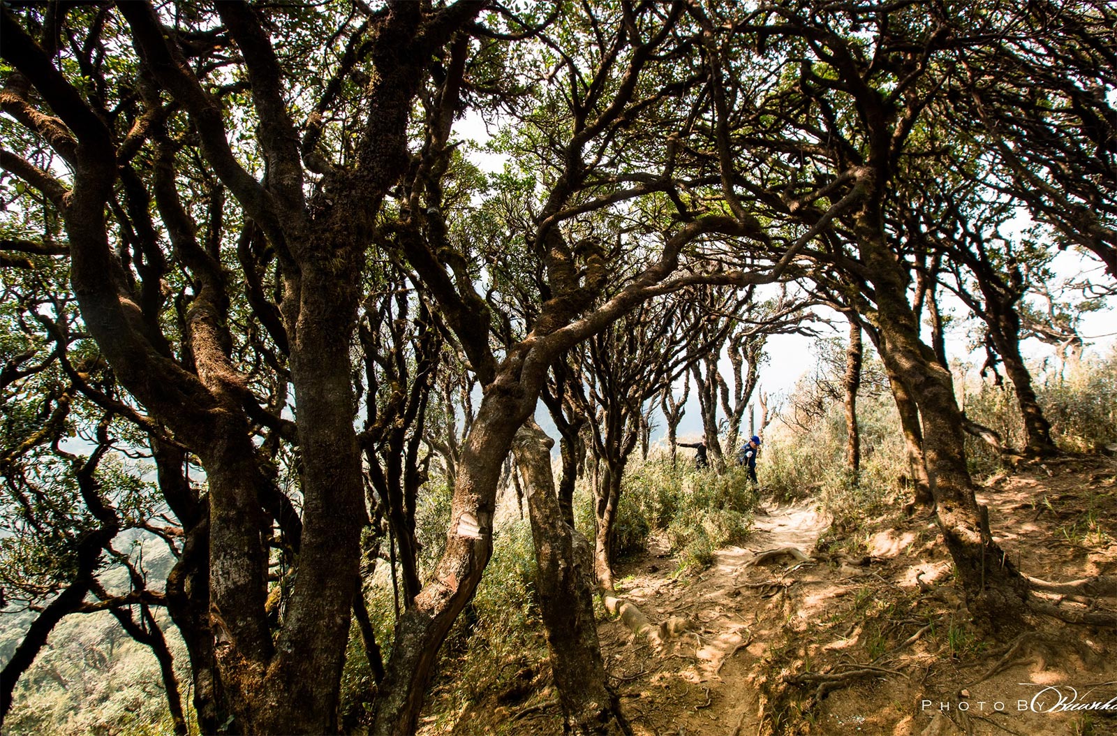 Các cung đường trekking Kỳ Quan San