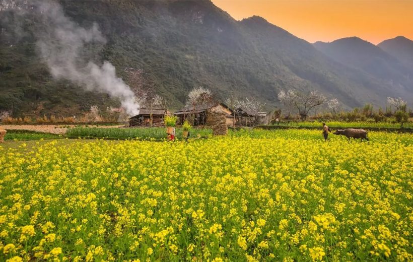 Vòng cung Đông Bắc – Hà Giang, Cao Bằng, thác Bản Giốc, Ba Bể (5N4Đ)